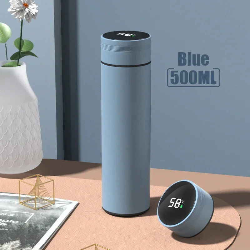 Insulated Temperature Display Bottle