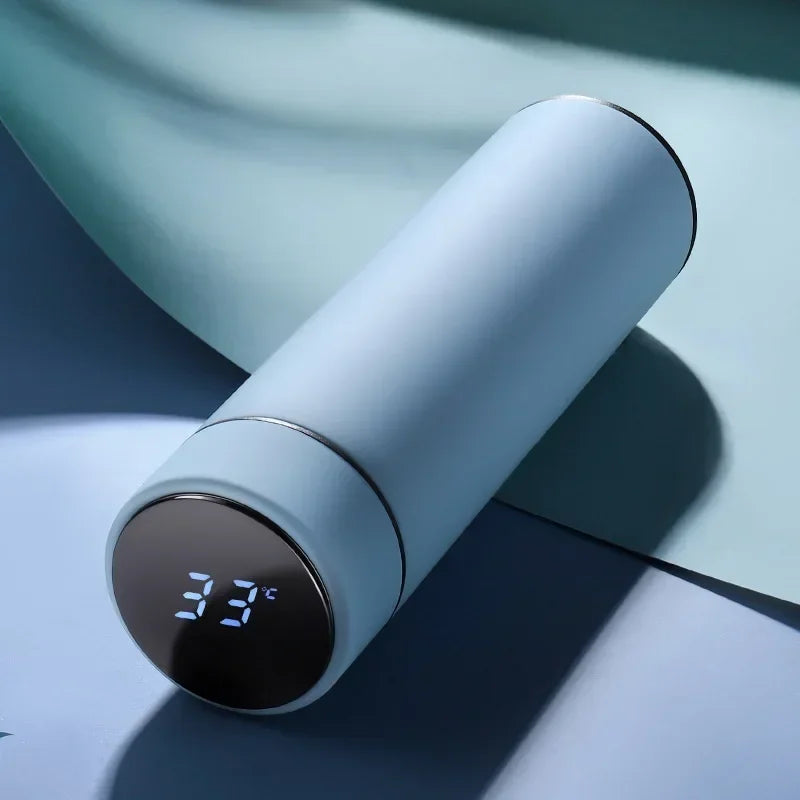 Insulated Temperature Display Bottle