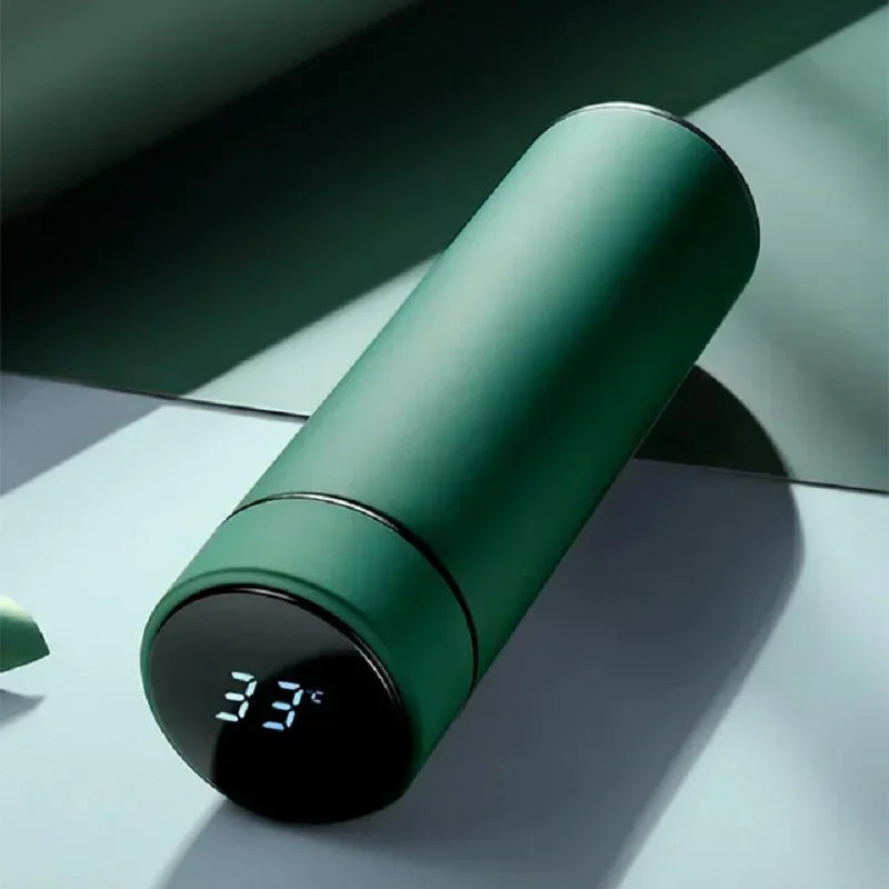 Insulated Temperature Display Bottle