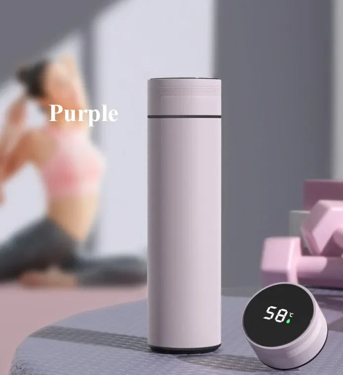 Insulated Temperature Display Bottle