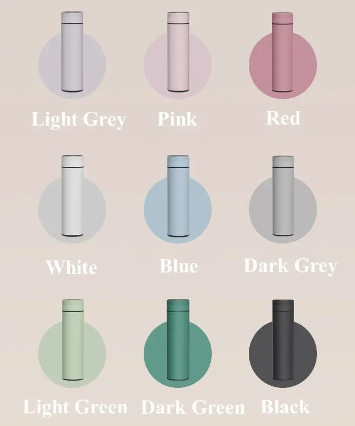 Insulated Temperature Display Bottle