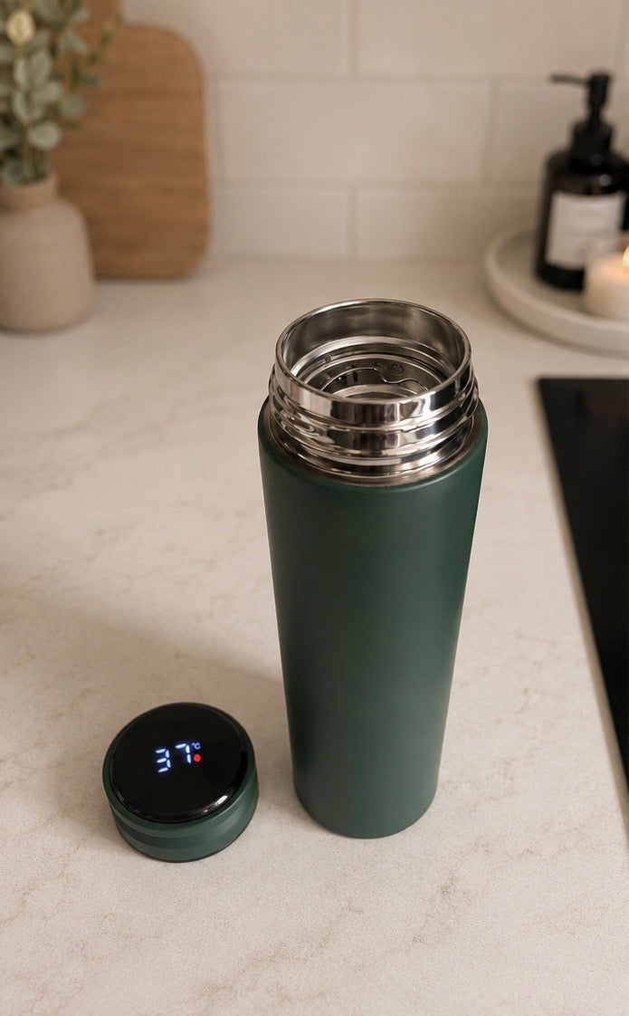 Insulated Temperature Display Bottle