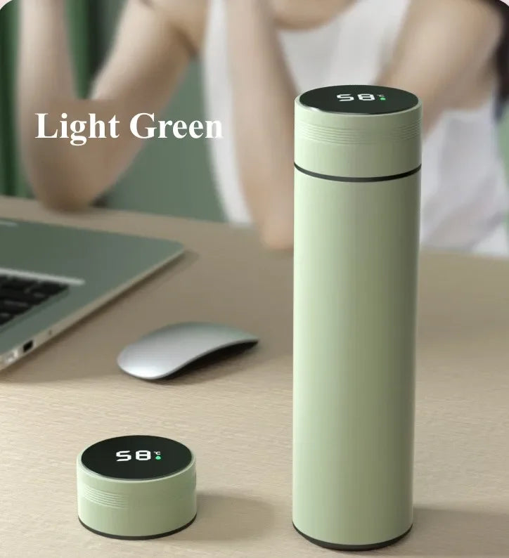 Insulated Temperature Display Bottle