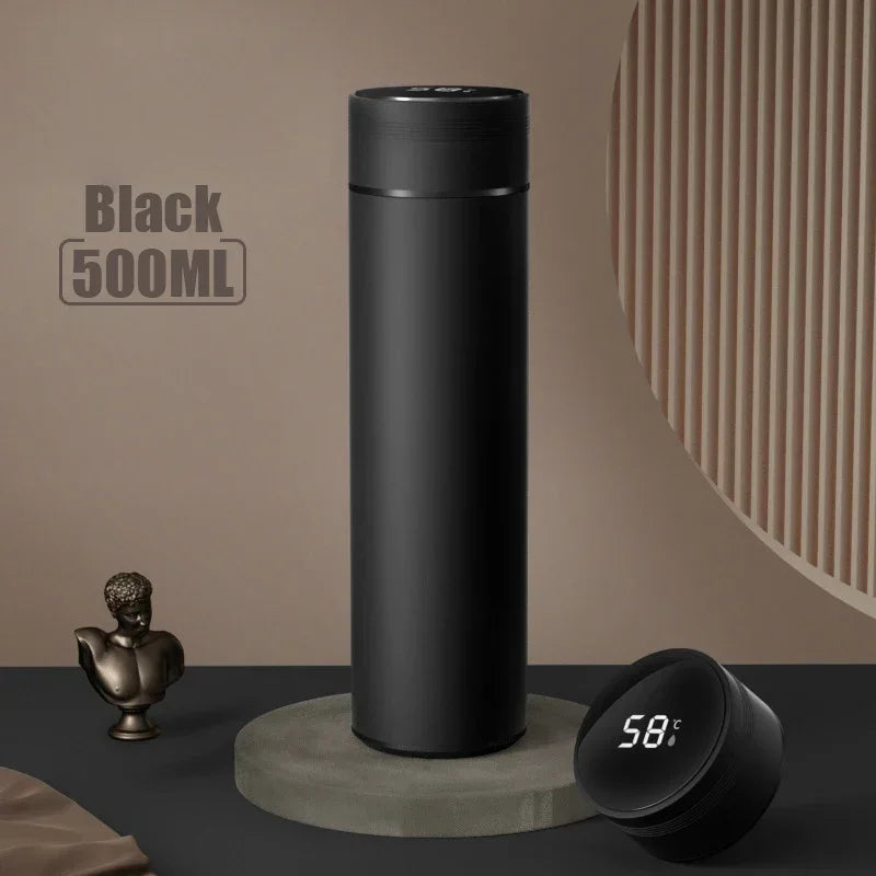Insulated Temperature Display Bottle