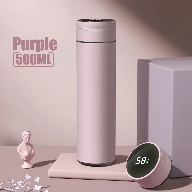 Insulated Temperature Display Bottle