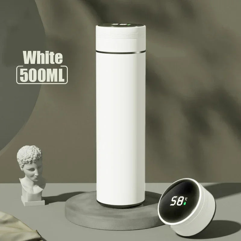 Insulated Temperature Display Bottle
